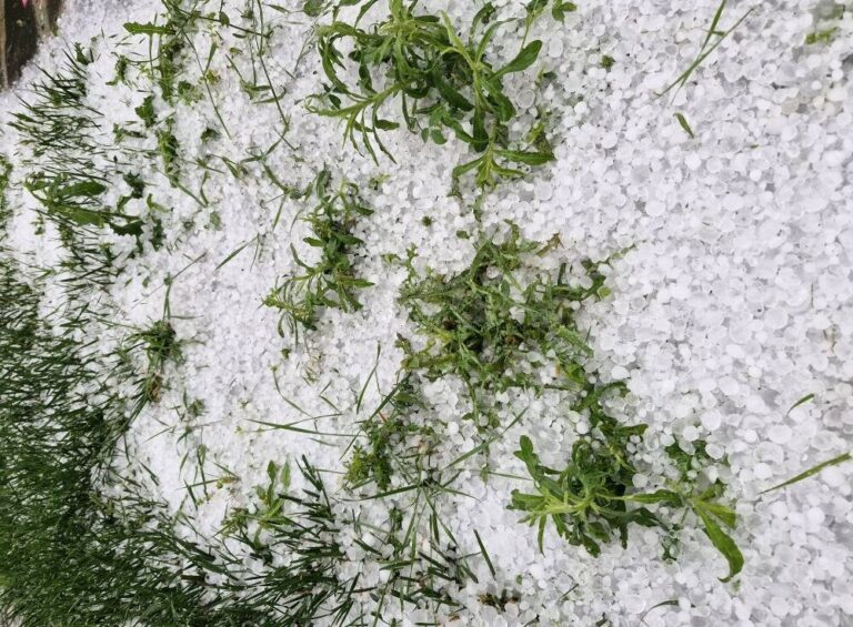 Έπεσε χαλάζι σε Κοζάνη και Γρεβενά – Ανησυχία για τις καλλιέργειες των αγροτών