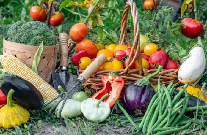 Ανησυχία για Υπολείμματα Φυτοφαρμάκων σε Φρούτα και Λαχανικά: Τι Αποκαλύπτουν οι Εργαστηριακές Αναλύσεις