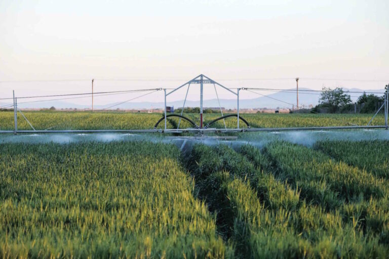 Ρεπορτάζ του Reuters για τα παράνομα φυτοφάρμακα στην Ε.Ε.: Στο επίκεντρο η Ελλάδα με αθρόες εισαγωγές