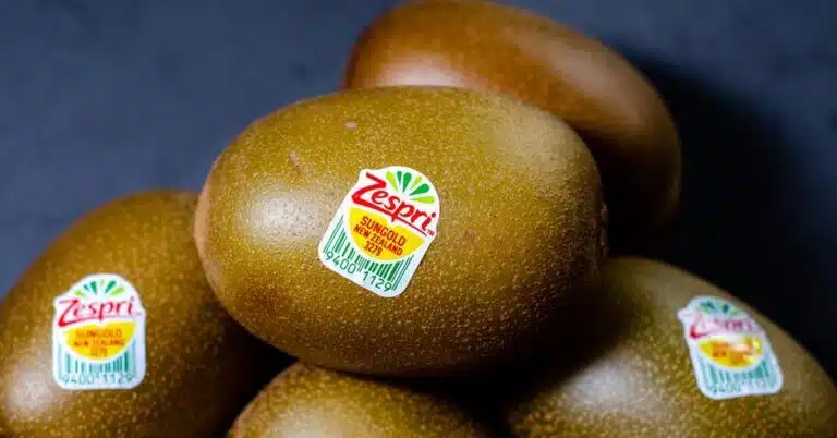 Αποδόσεις ρεκόρ στις περισσότερες ποικιλίες ακτινιδίων αναμένει στη φετινή περίοδο η Zespri