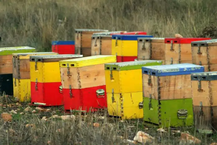 colorful beehives in greek countryside