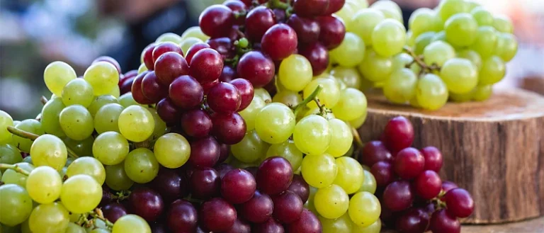 Χρονιά «Δύο Ταχυτήτων» στη Νεμέα: «Χαμόγελα» για τα Επιτραπέζια Σταφύλια, «Πονοκέφαλος» για Σταφίδα και Κρασί