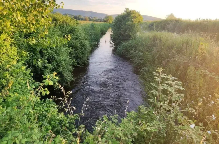 Οργή στη Λαψίστα Ιωαννίνων: Σε Αγωγές και Μηνύσεις προχωρούν οι Αγρότες για την Κατεστραμμένη Παραγωγή τους
