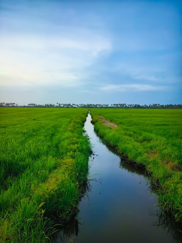 Άρδευση Ακριβείας | Mείωση 10 – 15% στην κατανάλωση νερού για τα χωράφια