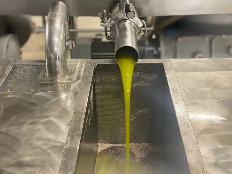 Δραματική Πρόβλεψη για Μεσσηνία: «Βουτιά» άνω του 50% στην Παραγωγή Ελαιολάδου – Η Τιμή-«Κόκκινη Γραμμή» για την Επιβίωση