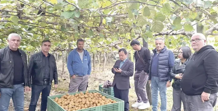 «Πράσινο Φως» από το Βιετνάμ: «Έλεγχος-Εξπρές» στους Οπωρώνες Ακτινιδίου της Λάρισας – Ανοίγει η Νέα Μεγάλη Αγορά της Ασίας