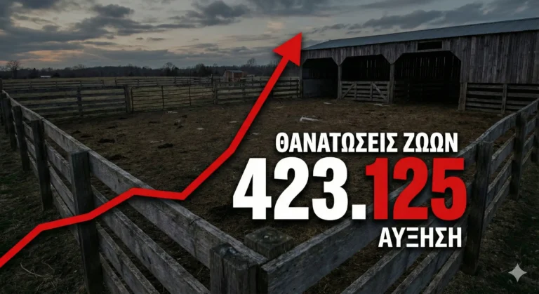 «Μαύρος» Απολογισμός για την Κτηνοτροφία: 423.125 Ζώα Θανατώθηκαν από την Ευλογιά – Τα Νέα Στοιχεία Σοκ