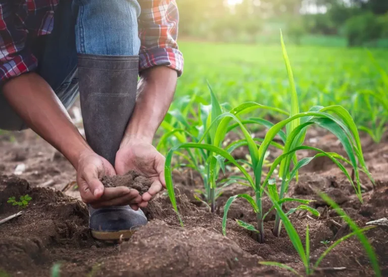 Βιολογικά: Έρχονται «ριζικές αλλαγές» και «ξεκαθάρισμα» – Πότε πληρώνονται τα παλιά, τι γίνεται με τα νέα