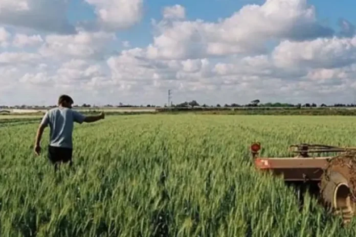 «Βόμβα» από ΕΕ: Ολοταχώς για αποκλεισμό των ετεροεπαγγελματιών από τις επιδοτήσεις – Τι αλλάζει σε Συνδεδεμένη και Εξισωτική