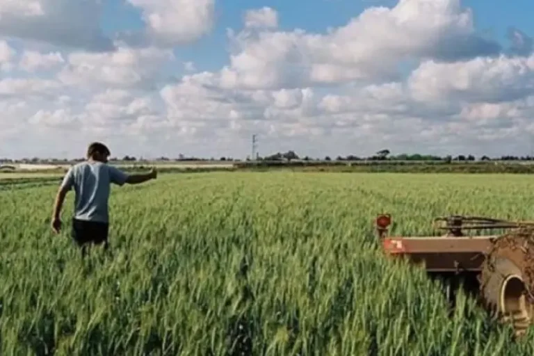 «Βόμβα» από ΕΕ: Ολοταχώς για αποκλεισμό των ετεροεπαγγελματιών από τις επιδοτήσεις – Τι αλλάζει σε Συνδεδεμένη και Εξισωτική