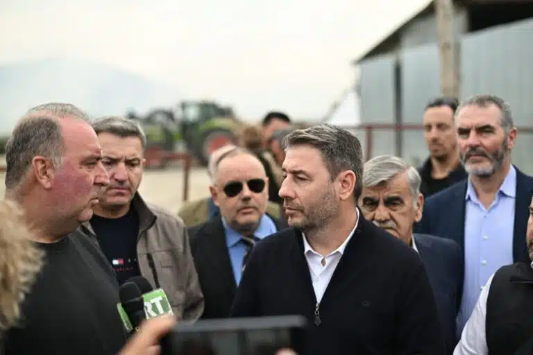 Ανδρουλάκης: «Η “γαλάζια συμμορία” κατάκλεψε τον ΟΠΕΚΕΠΕ – Με ευθύνη Μητσοτάκη χρωστούν 1 δισ. στους κτηνοτρόφους»