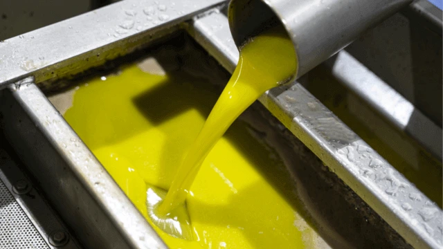 «Πάγωμα» στην Αγορά Ελαιολάδου: Η «Βόμβα» της Τυνησίας Ρίχνει τις Τιμές, Απογοήτευση στην Ελλάδα – Γιατί τα 5€ Μοιάζουν Λίγα