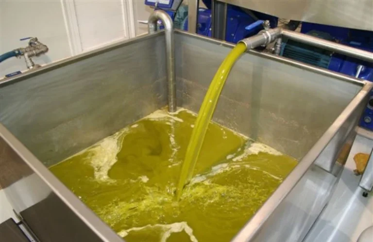 Ελαιόλαδο: «Κλείδωσαν» οι 3,4 εκατ. τόνοι – Το «μυστήριο» με την Τυνησία και οι τιμές