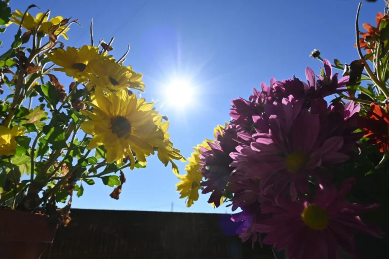 Ηλιοφάνεια Μετά την Καταιγίδα: Το «Παράθυρο» Καλόκαιρίας για τους Αγρότες και Πότε Επιστρέφουν οι Βροχές