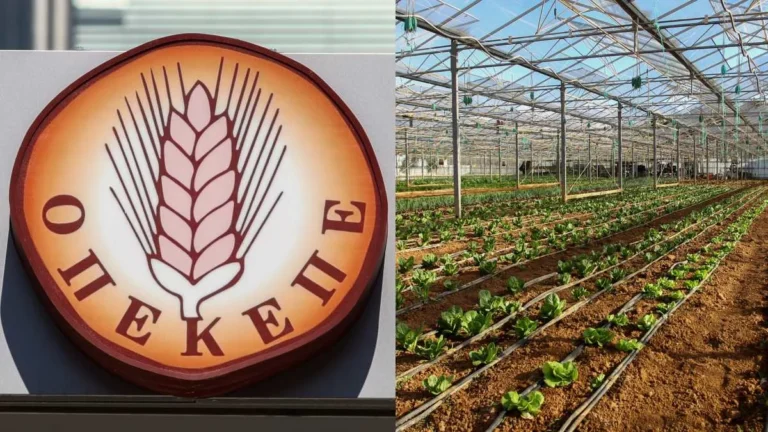 «Ώρα Μηδέν» για το «Τσεκ»: Έκτακτη Σύσκεψη Κορυφής Χατζηδάκη-Τσιάρα στον ΟΠΕΚΕΠΕ για να «Ξεκλειδώσουν» οι Πληρωμές