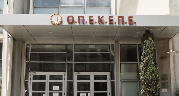 «Σεισμός» στην Κρήτη για τον ΟΠΕΚΕΠΕ: 15 Συλλήψεις και ο Ρόλος Γνωστού Συνδικαλιστή – Η Απάτη του 1,7 Εκατ. Ευρώ