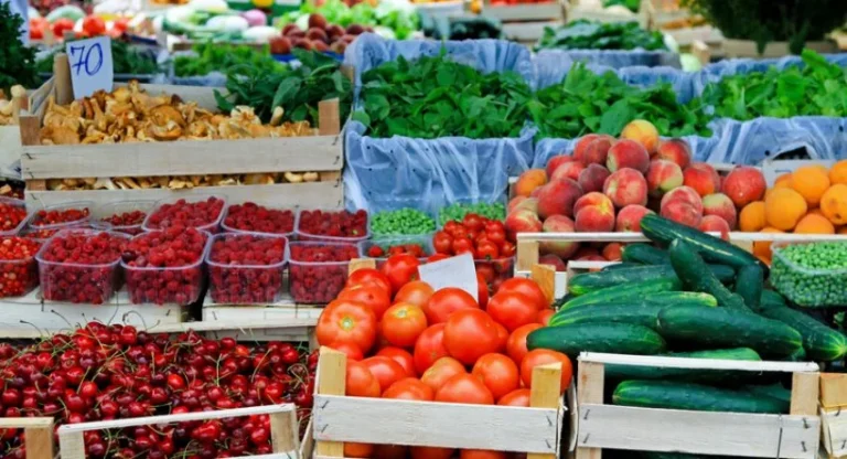 «Τελεσίγραφο» για το ΜΕΝΟ: Υποχρεωτική Επικαιροποίηση έως 31 Δεκεμβρίου – Ποιοι Κινδυνεύουν με Διαγραφή και Πρόστιμα