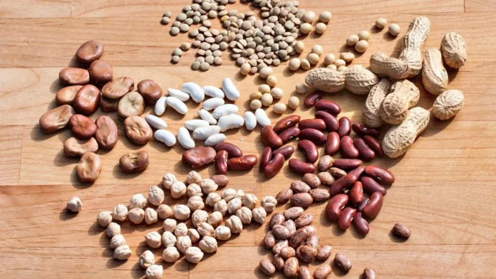 SOS για τα Ελληνικά Όσπρια: Ελληνοποιήσεις, Κλίμα και Κόστος «Διώχνουν» τους Αγρότες – Μείωση 50% στις Εκτάσεις