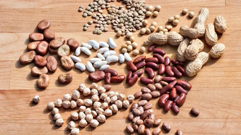 SOS για τα Ελληνικά Όσπρια: Ελληνοποιήσεις, Κλίμα και Κόστος «Διώχνουν» τους Αγρότες – Μείωση 50% στις Εκτάσεις