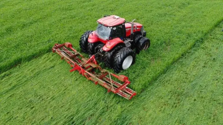 ΠΟΓΕΔΥ: «Μουσικές καρέκλες» με τους κτηνιάτρους δεν σώζουν την κτηνοτροφία – SOS για άμεσες προσλήψεις