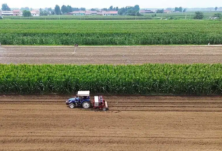 «Πετσόκομμα» στο Τσεκ: Ο Δορυφόρος «Βλέπει» Χώμα και Αφήνει Απλήρωτο το 20% των Χωραφιών στη Βόρεια Ελλάδα