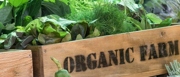 Βιολογικά: «Σώζεται» η Φυτική Παραγωγή με 43 εκατ. €, Αλλά «Θυσιάζονται» Οριστικά Κτηνοτροφία & Μελισσοκομία για το 2024