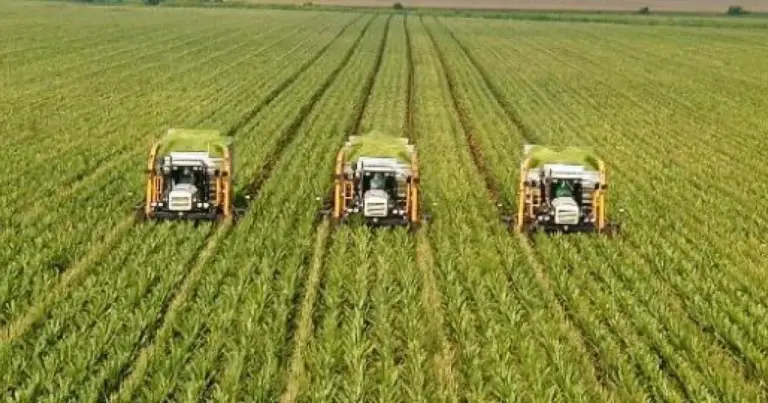 Η Λίστα των 27 Σημείων: Τι Λέει «Ναι», «Όχι» και «Ίσως» η Κυβέρνηση στα Μπλόκα – Χριστούγεννα στα Τρακτέρ