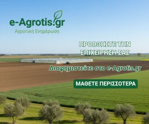 Διαφημιστείτε στο e-Agrotis.gr