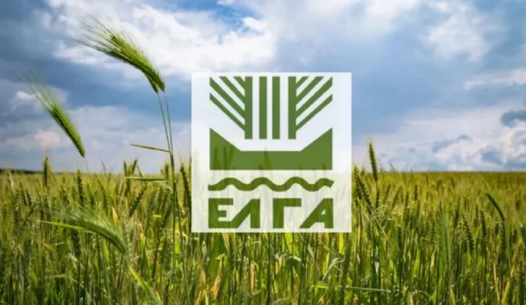 ΕΛΓΑ: Πληρώθηκαν 34,4 εκατ. ευρώ – Ποιοι είδαν χρήματα για Daniel & Φωτιές