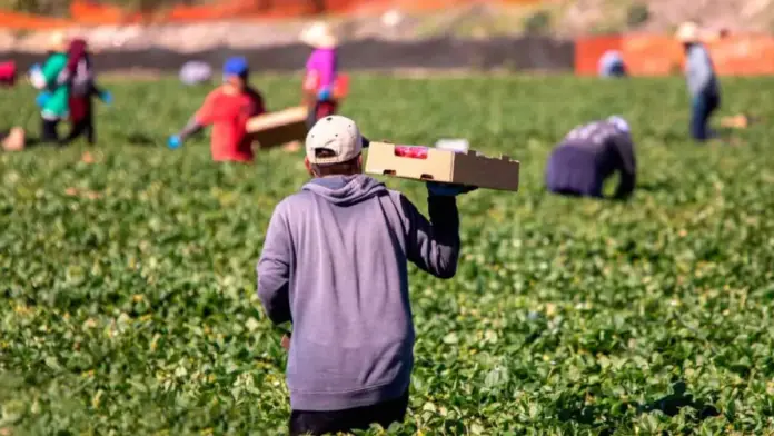 Εργάτες Γης: Το ΦΕΚ για τις 94.240 μετακλήσεις του 2026 – Πόσους δικαιούστε ανά καλλιέργεια (Πίνακες)