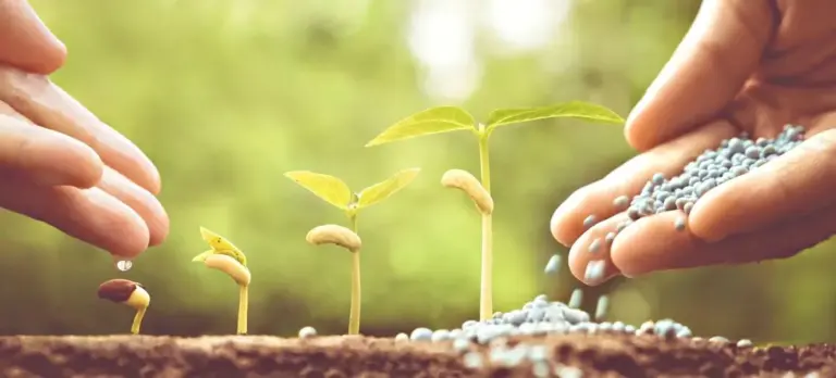 Η Ρωσία «Κυριεύει» τα Χωράφια των ΗΠΑ: Εκτόξευση Εξαγωγών Αζωτούχων Λιπασμάτων στο 35%