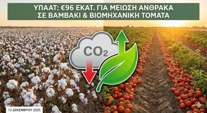 96 Εκατ. Ευρώ στην «Πράσινη» Γεωργία: Έρχεται Επιδότηση για Βαμβάκι, Τομάτα και Κινόα