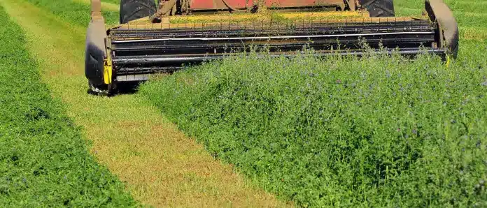 Ενίσχυση στη Μηδική λόγω Ευλογιάς: Ανακοινώθηκε στήριξη – Τι ισχύει για Κτηματολόγιο