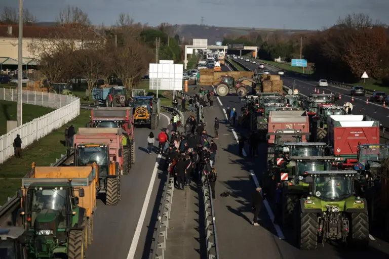 «Φλέγεται» η Γαλλία: Βίαια Επεισόδια και Μπλόκα Κτηνοτρόφων – Αντιδρούν στη Μαζική Θανάτωση Βοοειδών