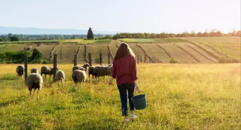 Ανδριανός στη Βουλή: Στο 65% η Αξιολόγηση των Νέων Αγροτών – Πότε θα Πληρωθεί η Α’ Δόση και τι Έρχεται τον Δεκέμβριο