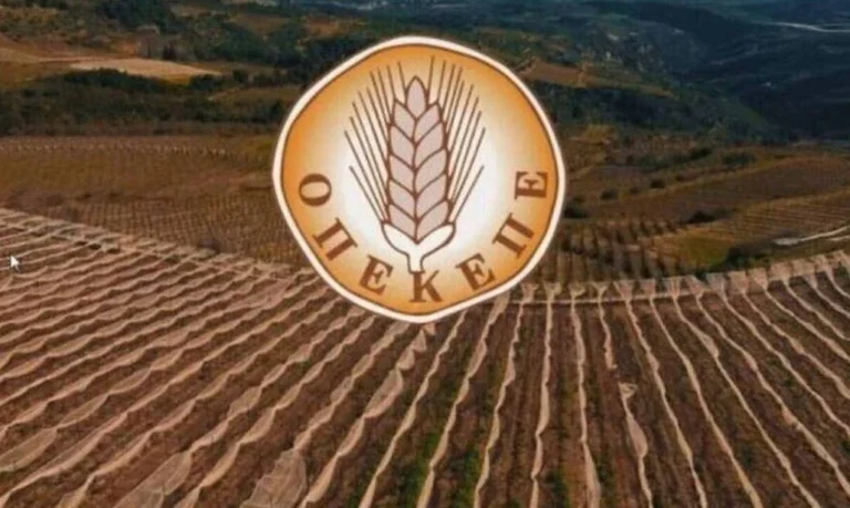 «Σήμα» από ΟΠΕΚΕΠΕ: Άνοιξε το Σύστημα για Διορθώσεις στην ΕΑΕ 2025 λόγω Monitoring – Ποιοι Πρέπει να Βιαστούν έως τις 8 Δεκεμβρίου