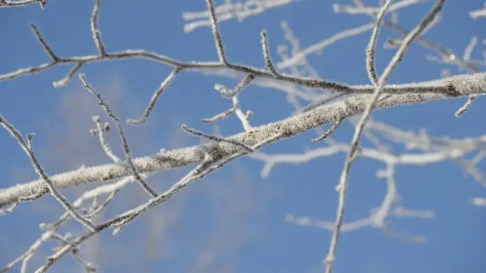 «Θρίλερ» με τις Αποζημιώσεις του ΕΛΓΑ: Πληρωμή 120 εκατ. € στις 17 Δεκεμβρίου – Ποιες Καλλιέργειες Κινδυνεύουν να Μείνουν Εκτός
