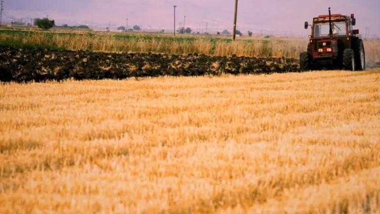 Οδηγός ΥπΑΑΤ: Τι Κάνετε Αν Δεν Πληρωθήκατε – Πώς Διορθώνονται Λάθη σε Monitoring, ΑΤΑΚ και Βοσκοτόπια