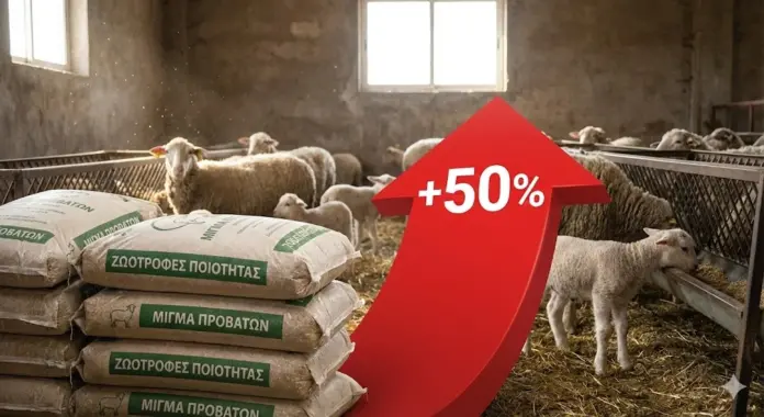 «Ανάσα» για τους Κτηνοτρόφους: Επίσημη Αύξηση 50% στην Αποζημίωση για Ζωοτροφές – Δείτε τα Νέα Ποσά ανά Ζώο