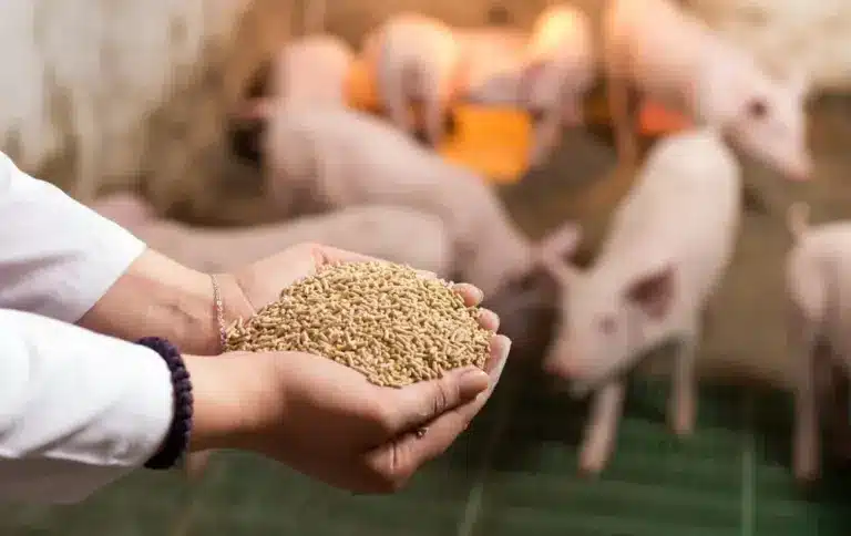 ΟΠΕΚΕΠΕ: Πληρώθηκε η β’ δόση για ζωοτροφές – Πότε δίνονται τα υπόλοιπα 15 εκατ.