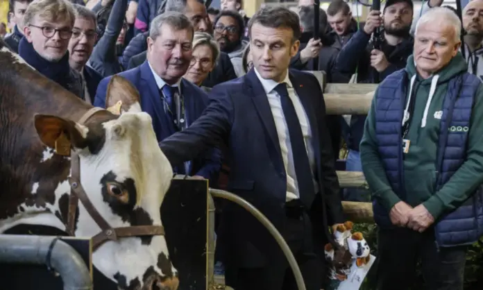 Χωρίς αγελάδες η μεγαλύτερη έκθεση λόγω της Οζώδους Δερματίτιδας