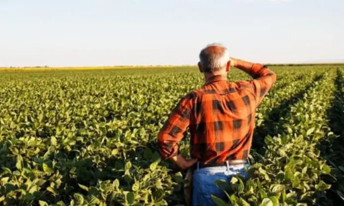 ΕΦΚΑ: Μέχρι 31/1 η αλλαγή ασφαλιστικής κατηγορίας για αγρότες – Οι νέες εισφορές του 2026 ανά κλάση
