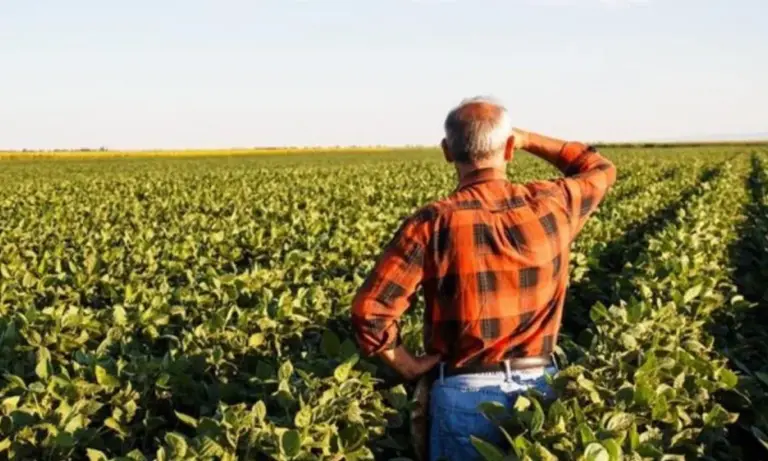 ΕΦΚΑ: Μέχρι 31/1 η αλλαγή ασφαλιστικής κατηγορίας για αγρότες – Οι νέες εισφορές του 2026 ανά κλάση