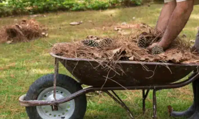Καθαρισμός Οικοπέδων: Τι αλλάζει σε προθεσμίες και πρόστιμα