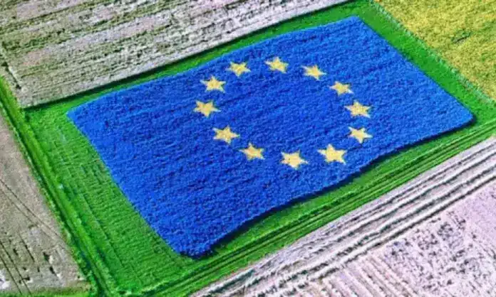 Το 1% των «πλουσίων» παίρνει το 40% των επιδοτήσεων – Τι συμβαίνει στην Ελλάδα