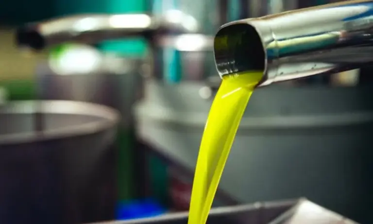 IOC: Στους 3,44 εκατ. τόνους η παγκόσμια παραγωγή ελαιολάδου 2025/26 – Τι δείχνουν τα πρώτα στοιχεία