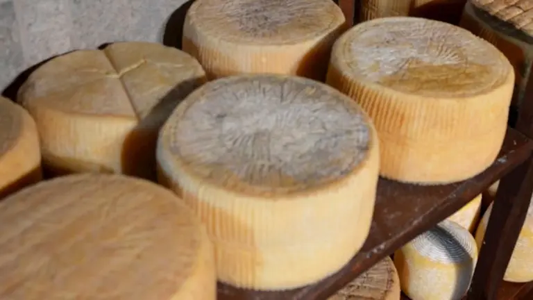 Καπούνης: «Αθέμιτος ανταγωνισμός» – Η Γραβιέρα Νάξου εκτός προστασίας στη συμφωνία Mercosur