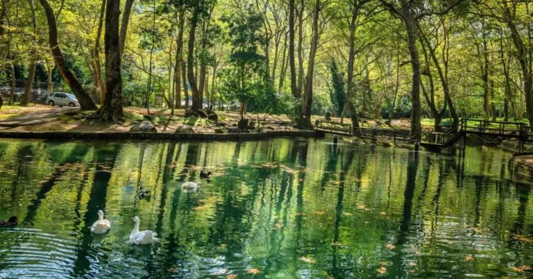 Νάουσα: «Πόλεμος» για το νερό του Αγίου Νικολάου – Η επένδυση εμφιάλωσης και η προσφυγή των Αγροτών