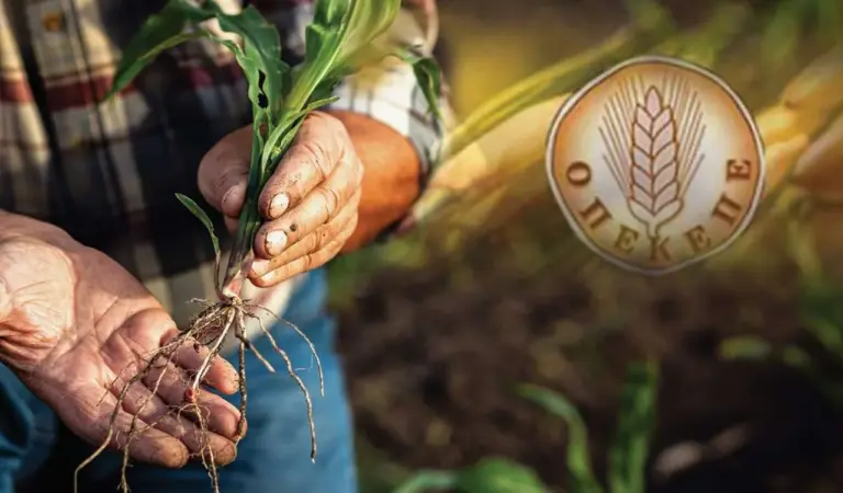 ΟΠΕΚΕΠΕ: «Στα όριά τους» οι αγρότες – Κλειστή η πλατφόρμα για τις Συνδεδεμένες