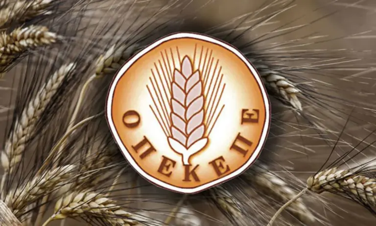 Εξεταστική ΟΠΕΚΕΠΕ: «Κόβονται» 17 μάρτυρες – Η επιστολή «φωτιά» για κίνδυνο απάτης